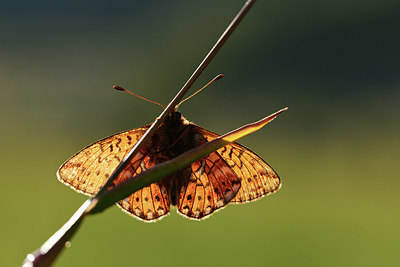 BUITEN BEELD Foto: 364345