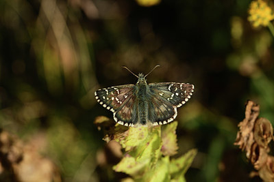 BUITEN BEELD Foto: 364388