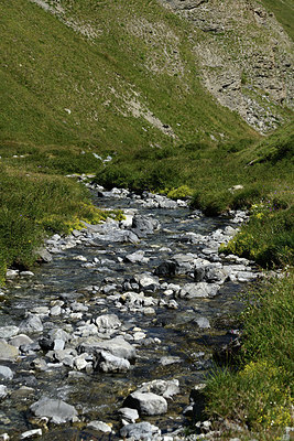 BUITEN BEELD Foto: 364462