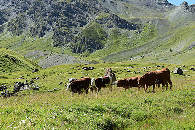 BUITEN BEELD Foto: 364471