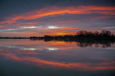 BUITEN BEELD Foto: 364533