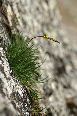 BUITEN BEELD Foto: 364605
