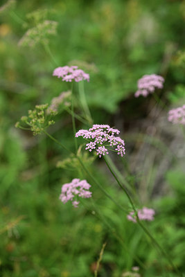 BUITEN BEELD Foto: 364610
