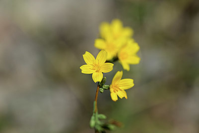 BUITEN BEELD Foto: 364626