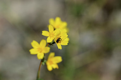 BUITEN BEELD Foto: 364627