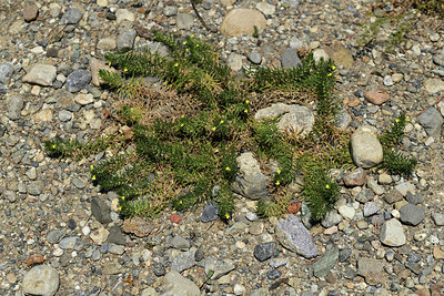 BUITEN BEELD Foto: 364642