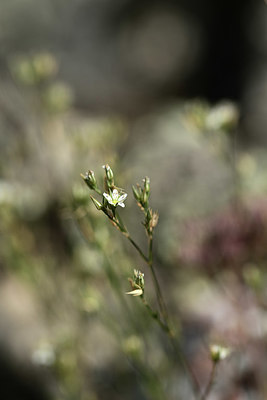BUITEN BEELD Foto: 364646