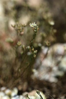 BUITEN BEELD Foto: 364655