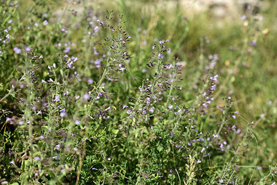 BUITEN BEELD Foto: 364660