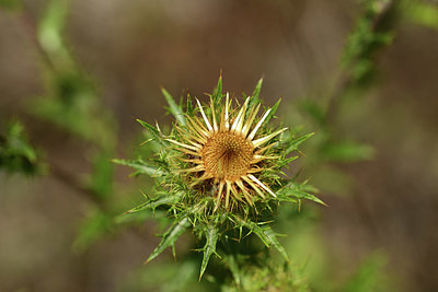 BUITEN BEELD Foto: 364664