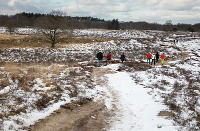 BUITEN BEELD Foto: 364716