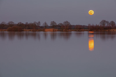 BUITEN BEELD Foto: 364730