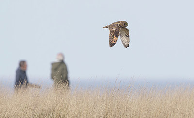 BUITEN BEELD Foto: 364878