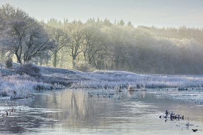 BUITEN BEELD Foto: 364884