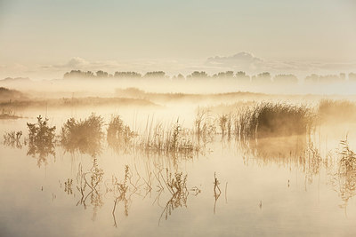 BUITEN BEELD Foto: 364887