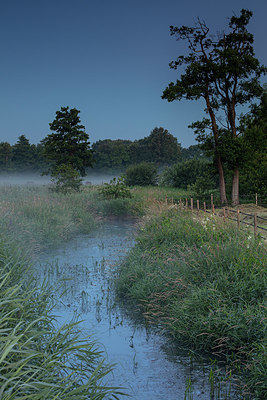 BUITEN BEELD Foto: 364903