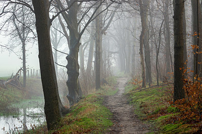 BUITEN BEELD Foto: 364913
