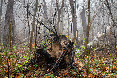 BUITEN BEELD Foto: 364914