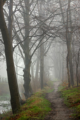 BUITEN BEELD Foto: 364915