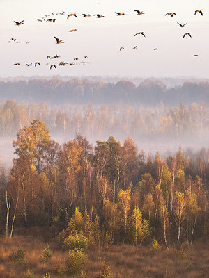 BUITEN BEELD Foto: 365213