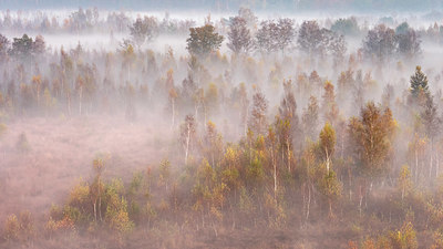 BUITEN BEELD Foto: 365216