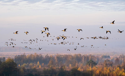 BUITEN BEELD Foto: 365217