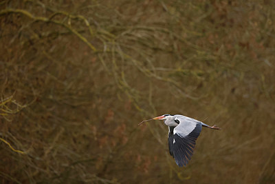 BUITEN BEELD Foto: 365248