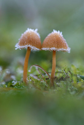 BUITEN BEELD Foto: 365445