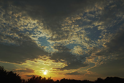 BUITEN BEELD Foto: 365464