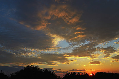 BUITEN BEELD Foto: 365465