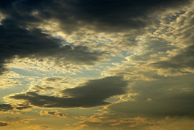 BUITEN BEELD Foto: 365500