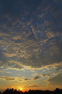 BUITEN BEELD Foto: 365501