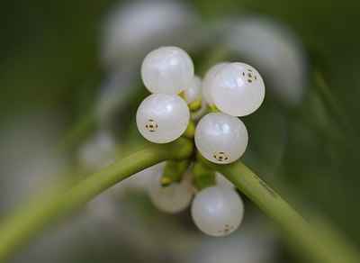 BUITEN BEELD Foto: 365522