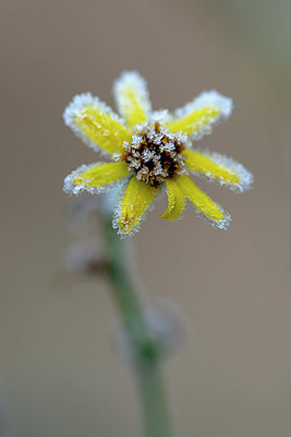 BUITEN BEELD Foto: 365570