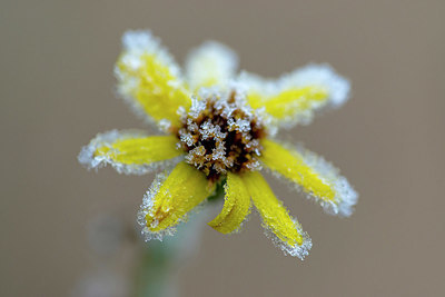 BUITEN BEELD Foto: 365572