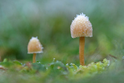 BUITEN BEELD Foto: 365602