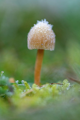 BUITEN BEELD Foto: 365603