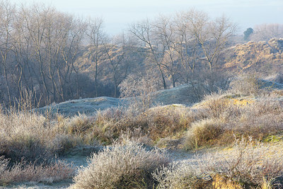 BUITEN BEELD Foto: 365638