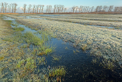 BUITEN BEELD Foto: 365642