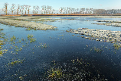 BUITEN BEELD Foto: 365643