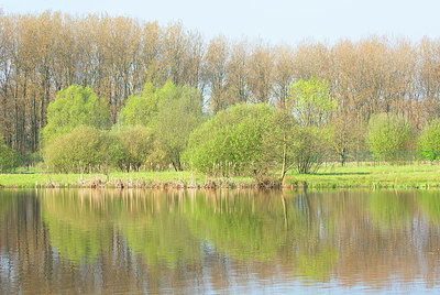 BUITEN BEELD Foto: 365651