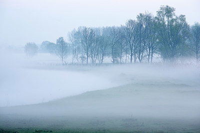 BUITEN BEELD Foto: 365654