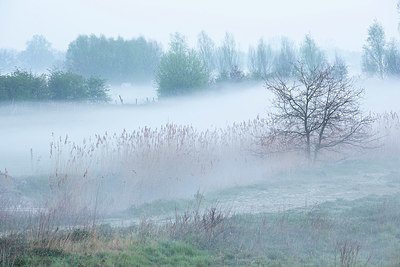 BUITEN BEELD Foto: 365656