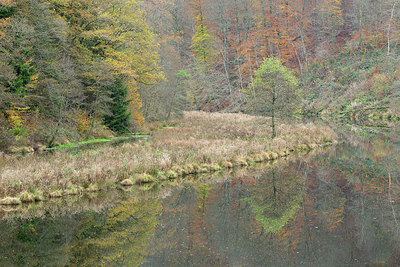 BUITEN BEELD Foto: 365661