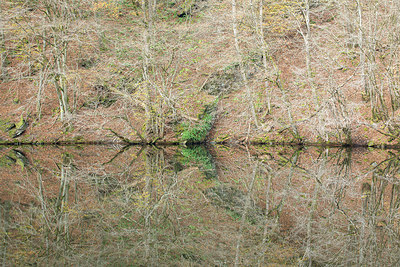 BUITEN BEELD Foto: 365666