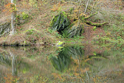 BUITEN BEELD Foto: 365668