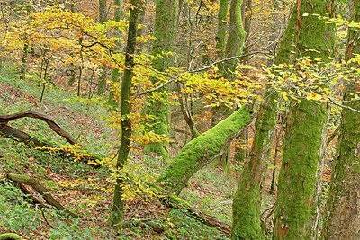 BUITEN BEELD Foto: 365670