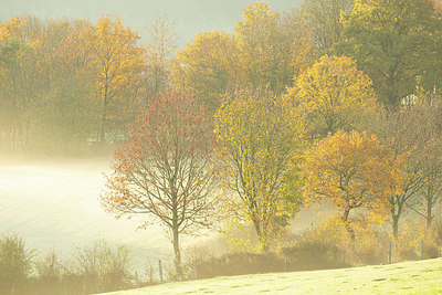 BUITEN BEELD Foto: 365672