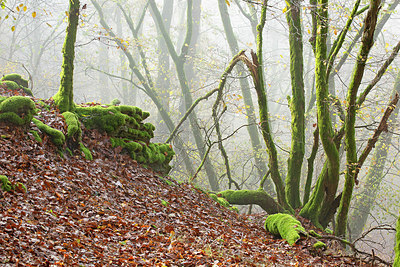 BUITEN BEELD Foto: 365682