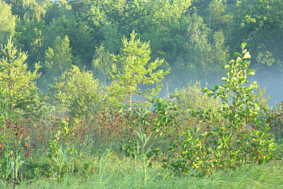 BUITEN BEELD Foto: 365695